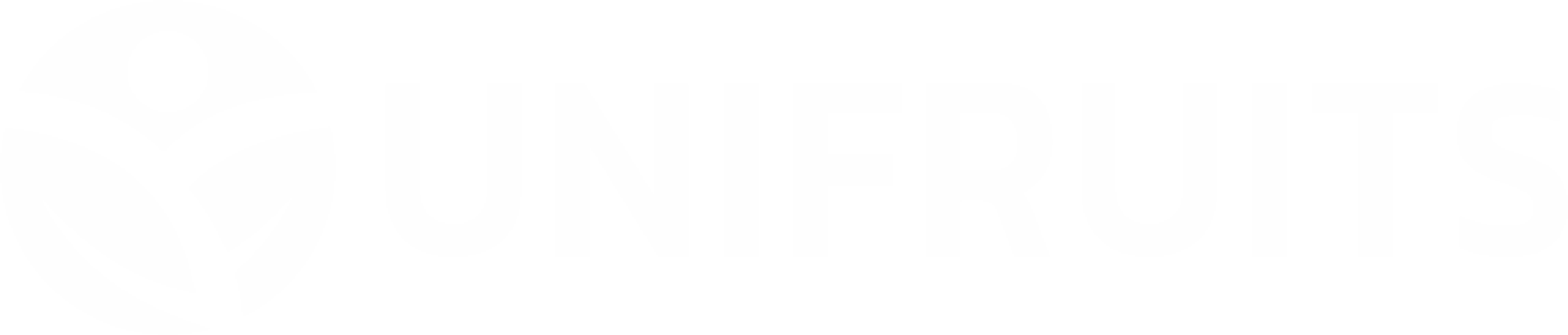 light logo